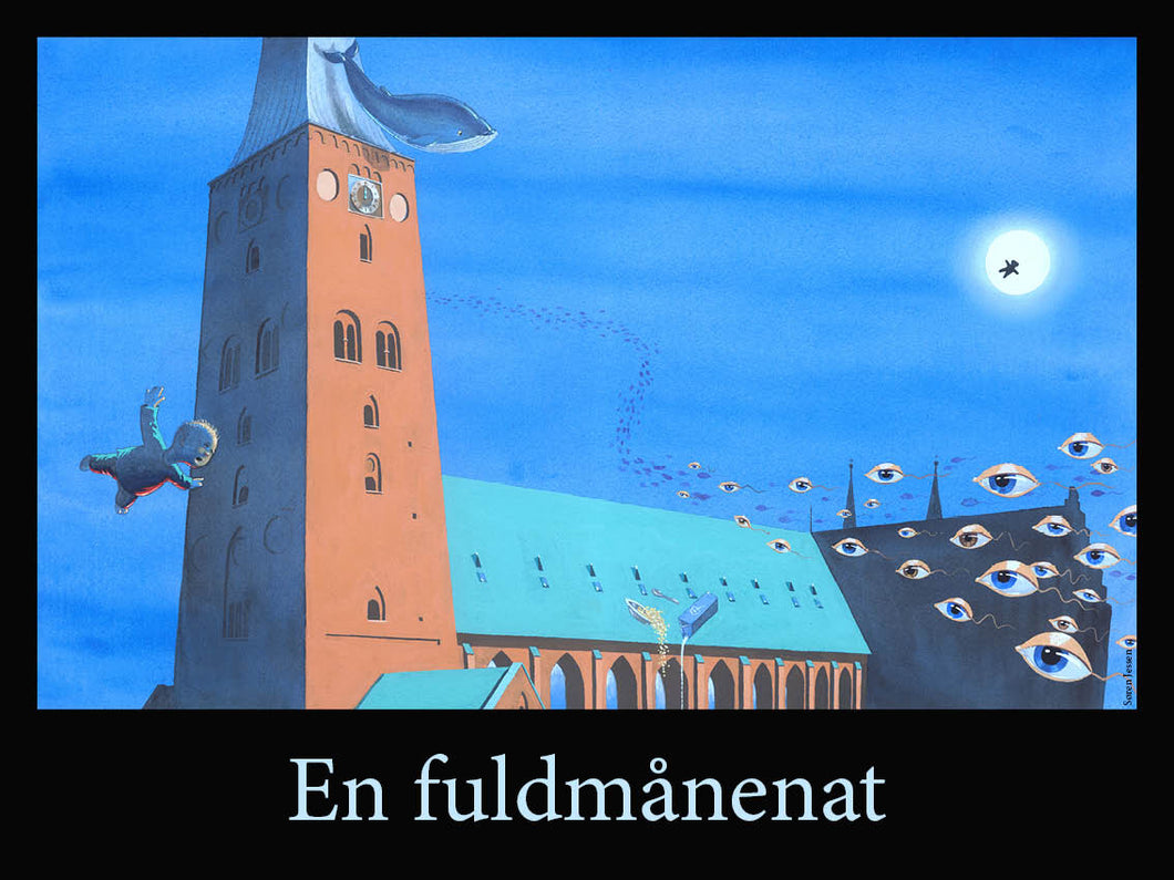 En fuldmånenat - Domkirke